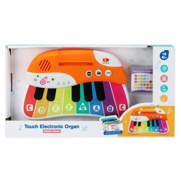 Detské piano s melódiovými kartičkami 25 x 15 cm 041270