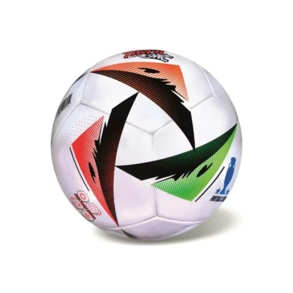 Futbalová lopta veľkosti 5 225895