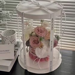 Elegantná priehľadná darčeková krabička 6XMQ053GXG