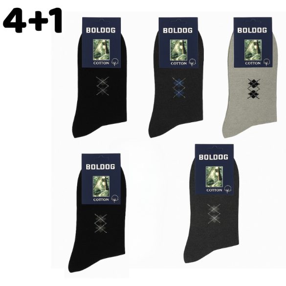 4+1 Pánske ponožky 39-43 706151