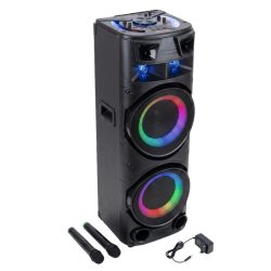   Prenosný party reproduktor s 2 × 12" reproduktormi, LED osvetlením a 2 mikrofónmi AO-1221