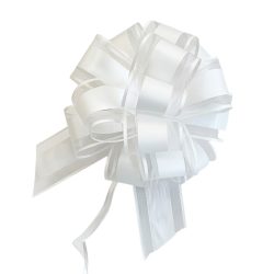   30-dielna sada elegantných bielych snehových masiek AQ5784420