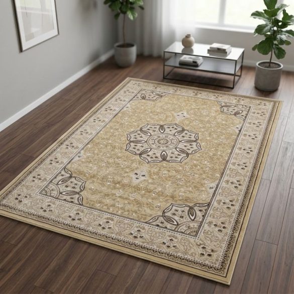 Koberec s klasickým vzorom Metropolitan 200x290cm B6187A-2