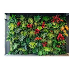   Kompaktné 2D pozadie Tropická džungľa – 80 x 120 cm BG11892192-80X120