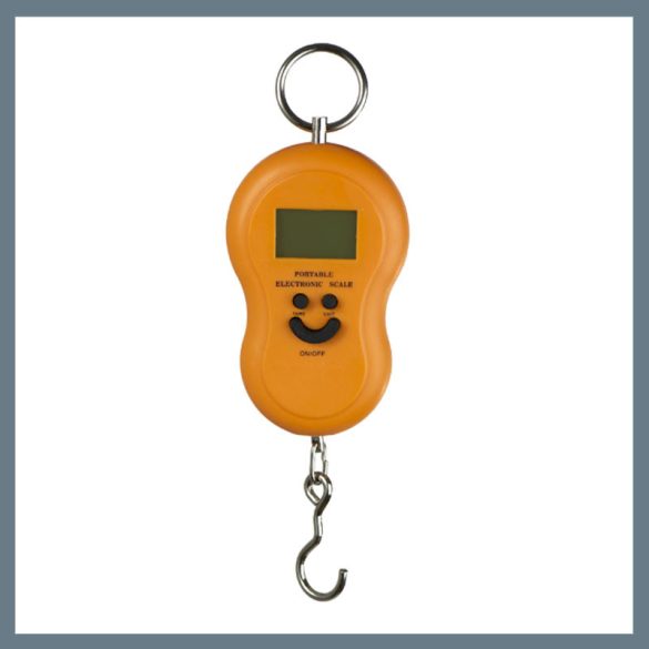 Elektronická váha na balíky, zeleninu a ryby s hákom, max. 40 kg CDT-603