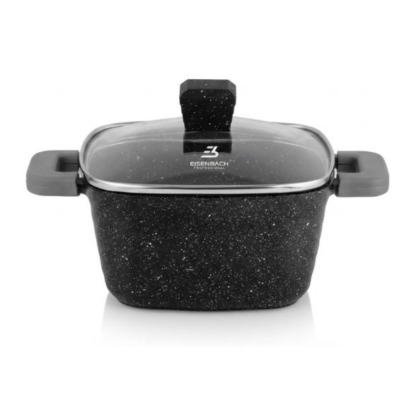 Eisenbach Professional 24 cm štvorcový hrniec so skleneným vekom 4,8 l EB24