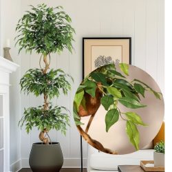   Umelý fikus s ohnutým kmeňom 183 cm s bielou kvetináčou EJ9710809