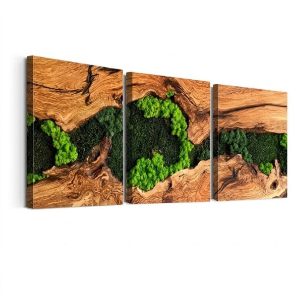 3-dielna sada botanických plátien s dreveným efektom 30 × 40 cm KU7309284