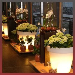   2 ks solárny biely záhradný kvetináč s osvetlením QH1274402