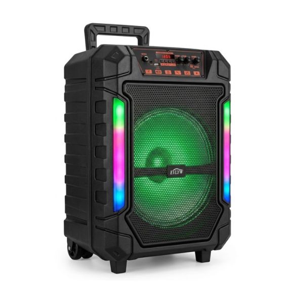 Prenosný Bluetooth party reproduktor s karaoke súpravou EVLYW YE-12001