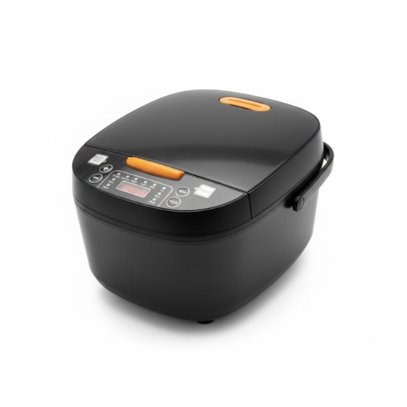 Multifunkčný ryžovar a multicooker – objem 5 litrov, 10 automatických programov holm0759