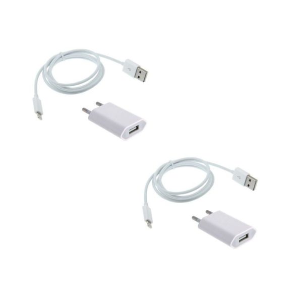 2-v-1 nabíjací kit Apple holm40007