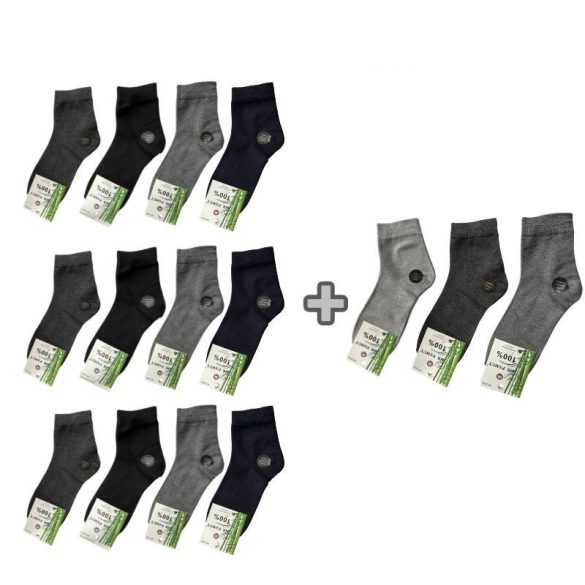 12+3 Pánske ponožky 39 až 42 mp3006-5