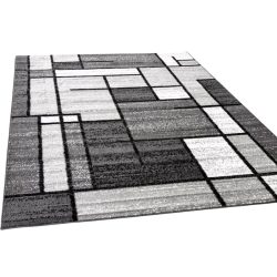 Koberec Torino 574 Grey 120 × 170 cm